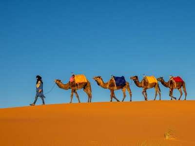 Discovery trip in Morocco: Merzouga Express